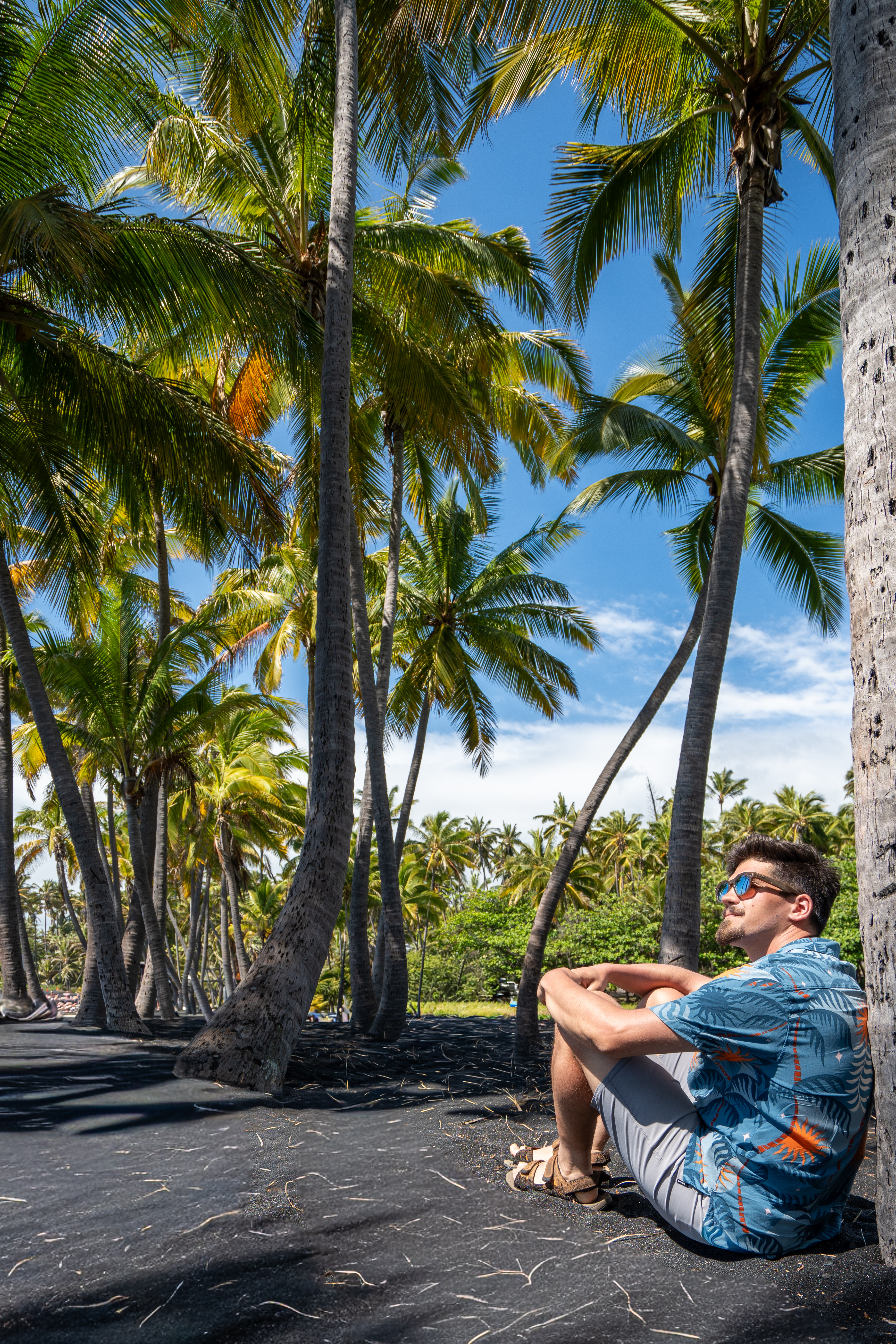 Hawaii portfolio 14